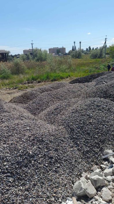 Ракушка кормова(тільки опт)