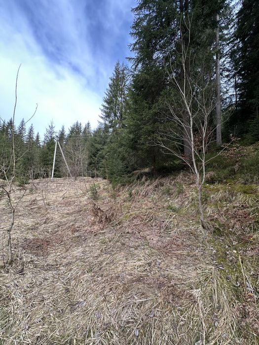 Земельна ділянка с.Яблуниця, переведена під будівництво!