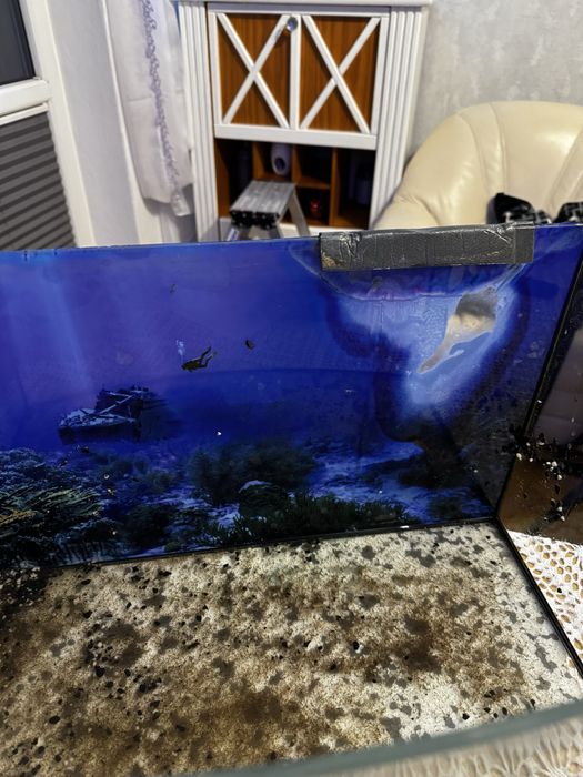 Akwarium panoramiczne