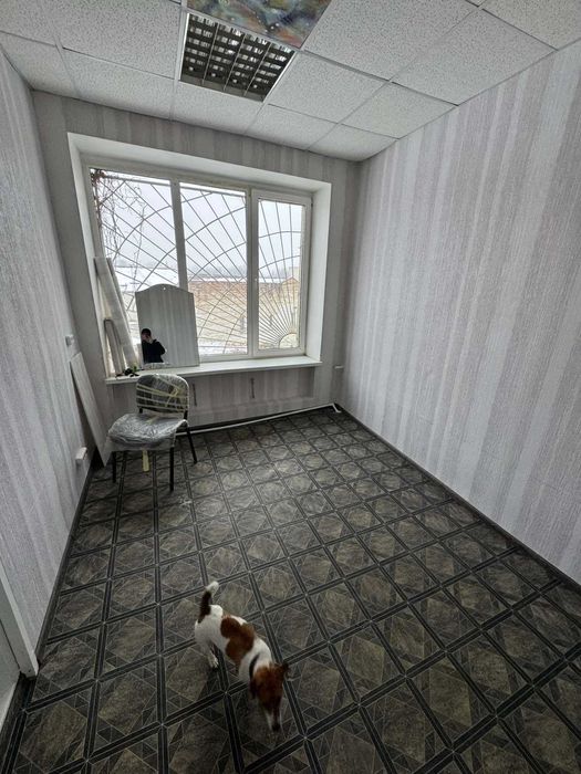 Оренда приміщення вільного призначення