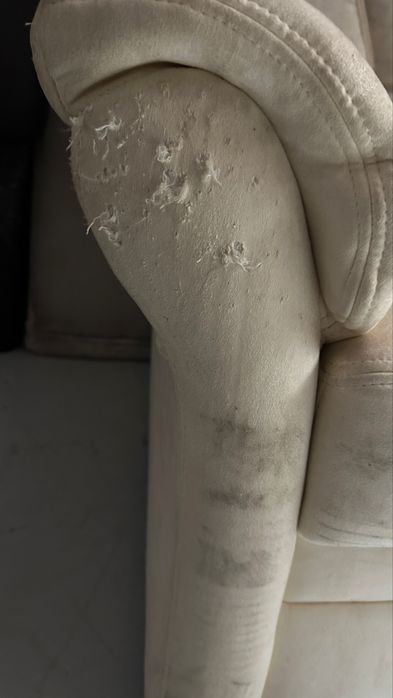 Fotel do salonu – materiał typu zamsz / mikrofaza (ślady po kocie)