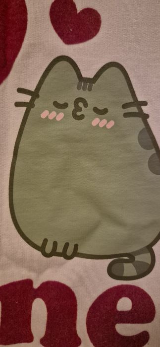 Bluza pusheen rozowa