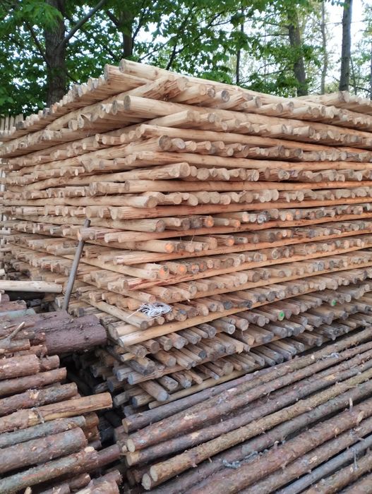 Kołki do drzewek wolno stojące