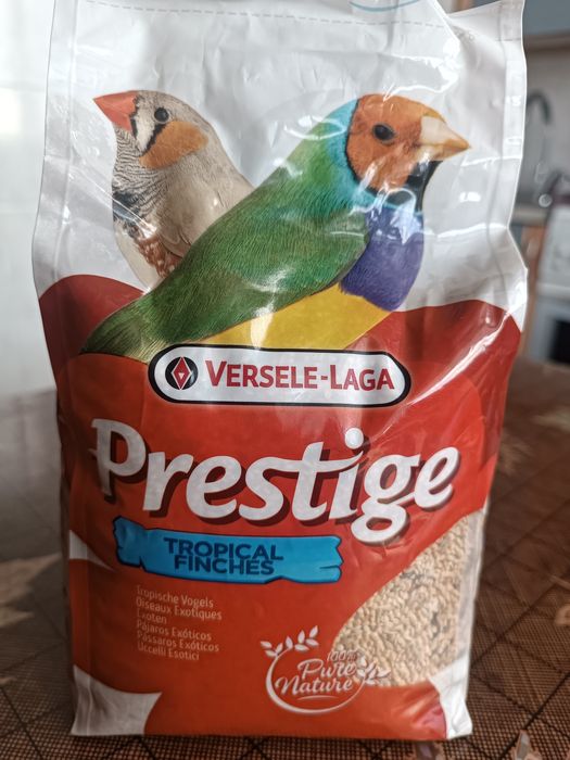 Prestige.   tropical finches   Pure Nature 100%