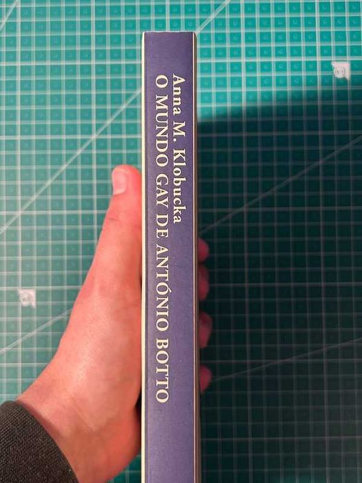 (COMO NOVO) O Mundo gay de António Botto - Anna Klobucka.