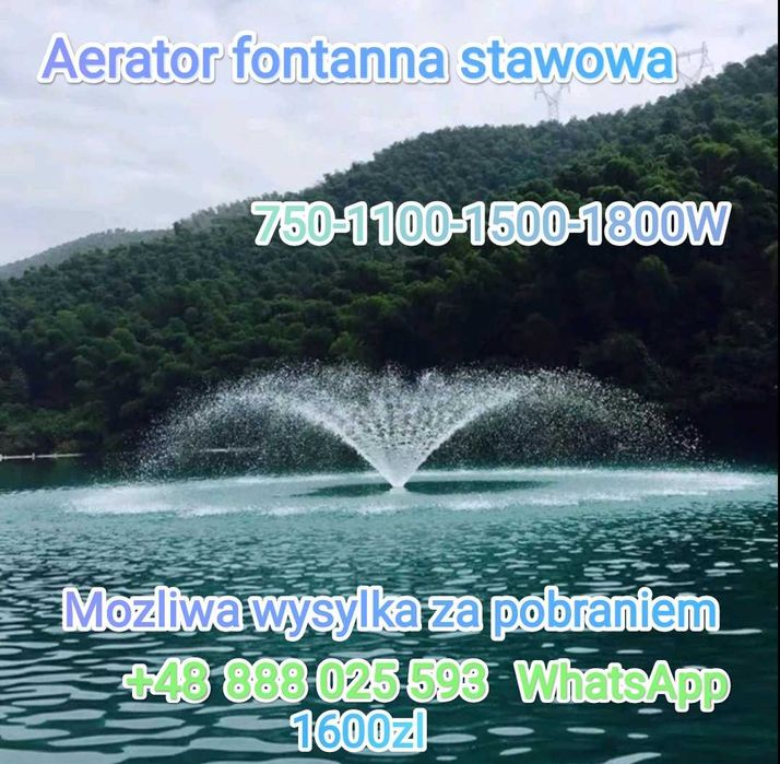 Fontana pompa stawowa