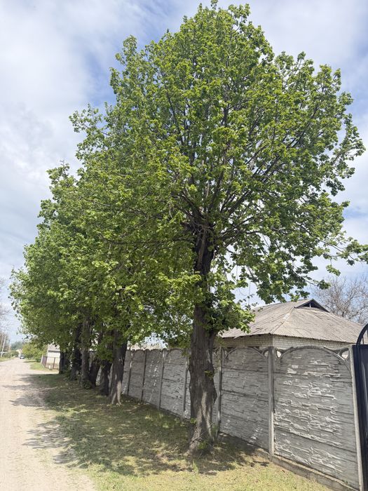 Продам бувший дитячий садок. Можна для будинку, бізнесу. 240кв м