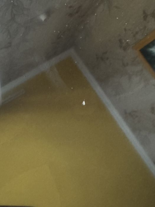 Hisense плазма телевізор