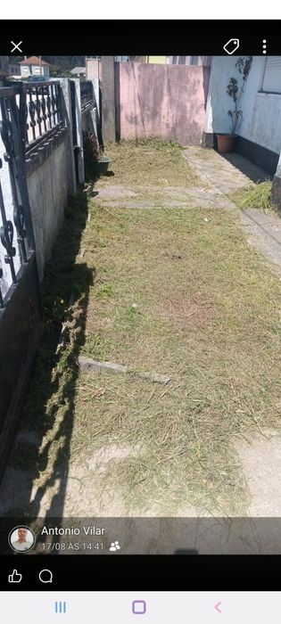 Serviços de jardinagem