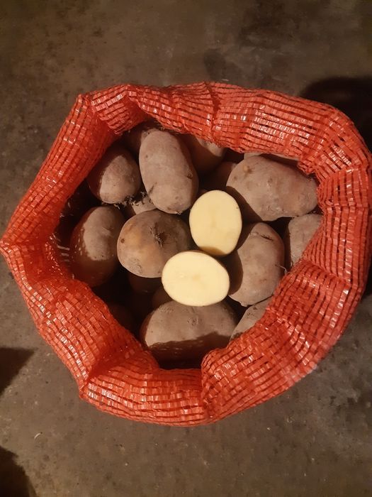 Sprzedam ziemniaki jadalne 2025