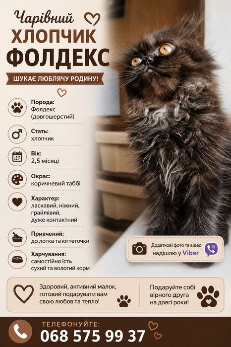 Чарівний хлопчик