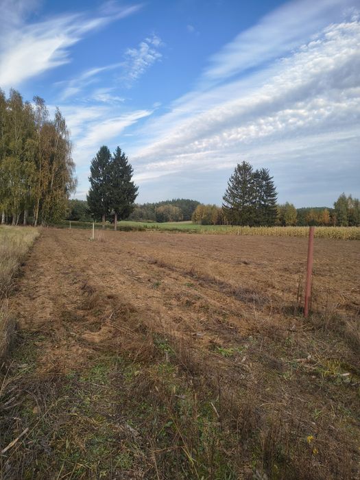 Działka budowlana k. Rypina. Wydane WZ. - Widok 4