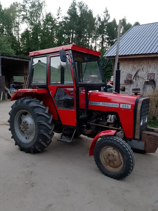 Ursus MF255 Massey Ferguson