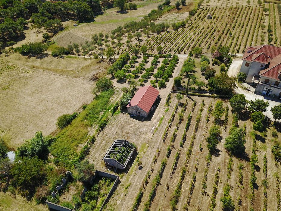 Quinta da Dorna Sao Salvador / Viseu