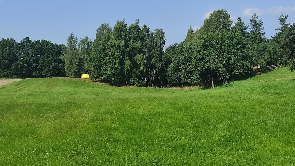 Sprzedam pięknie położone działki w Witkówku koło Chojnowa