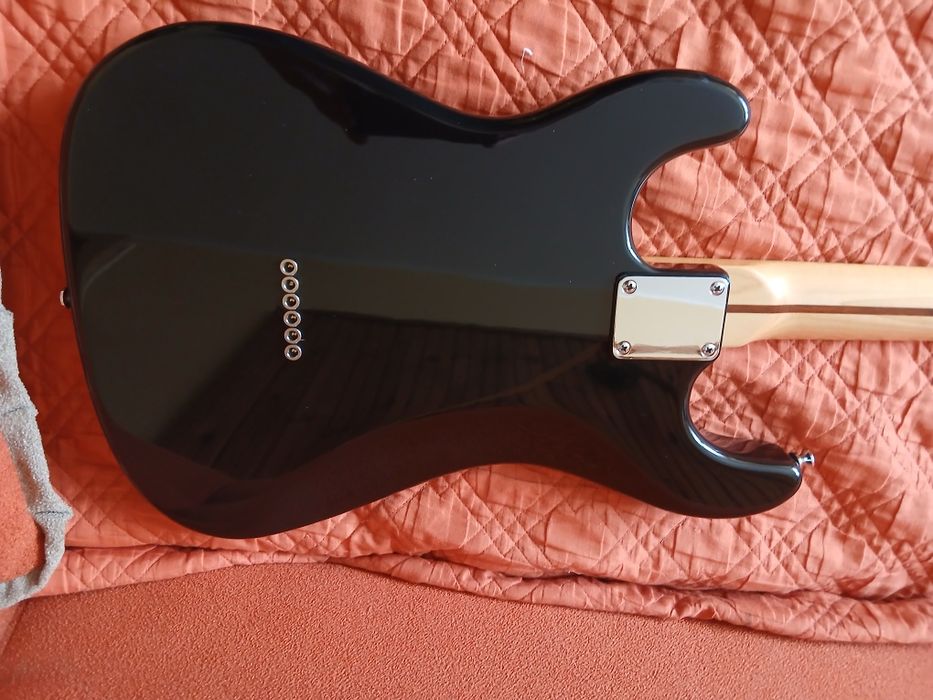 Mayones flame stratocaster