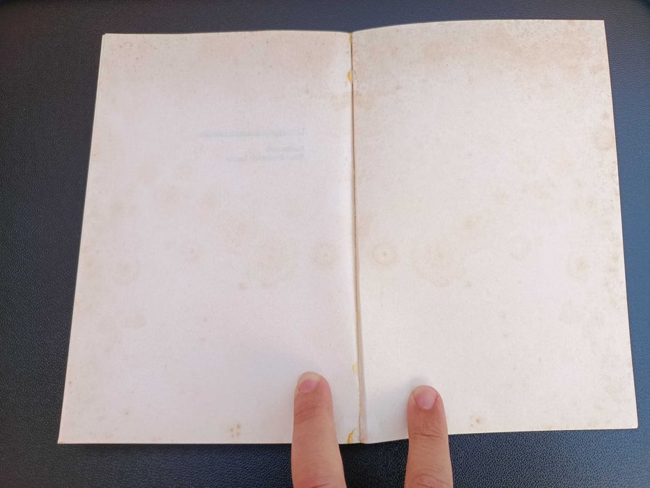 Livro "O Sexo dos Anjos", Júlio Machado Vaz