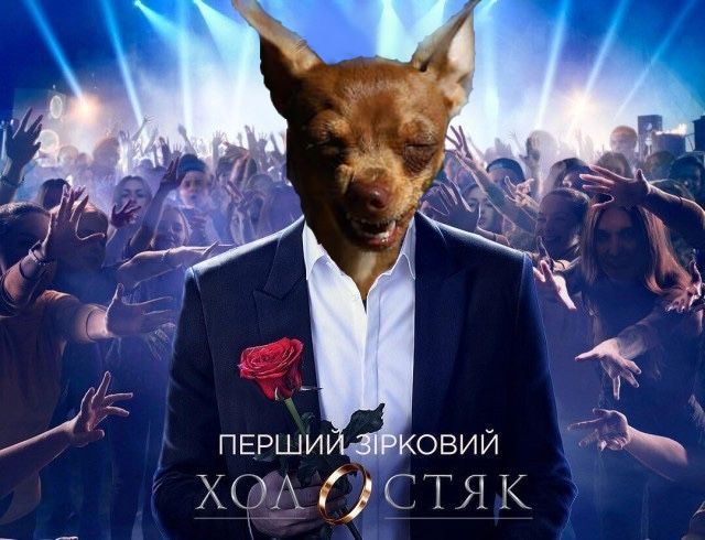 В‘язка той-терєр