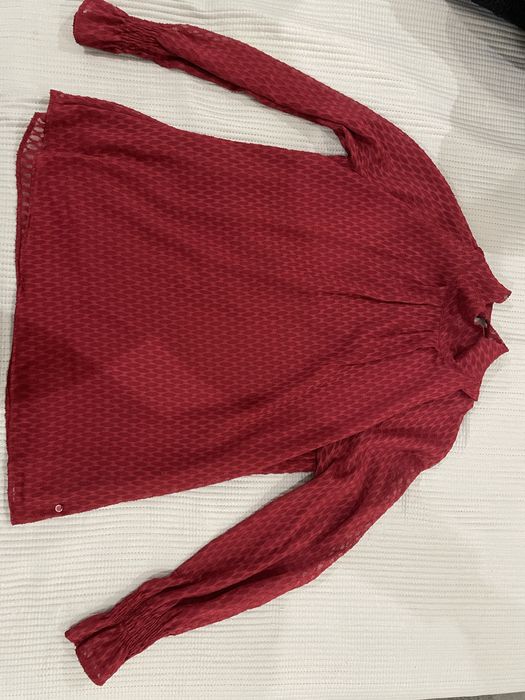 Tunica lion of porches