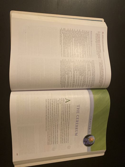 Livro - Clinical Neuroanatomy Snell