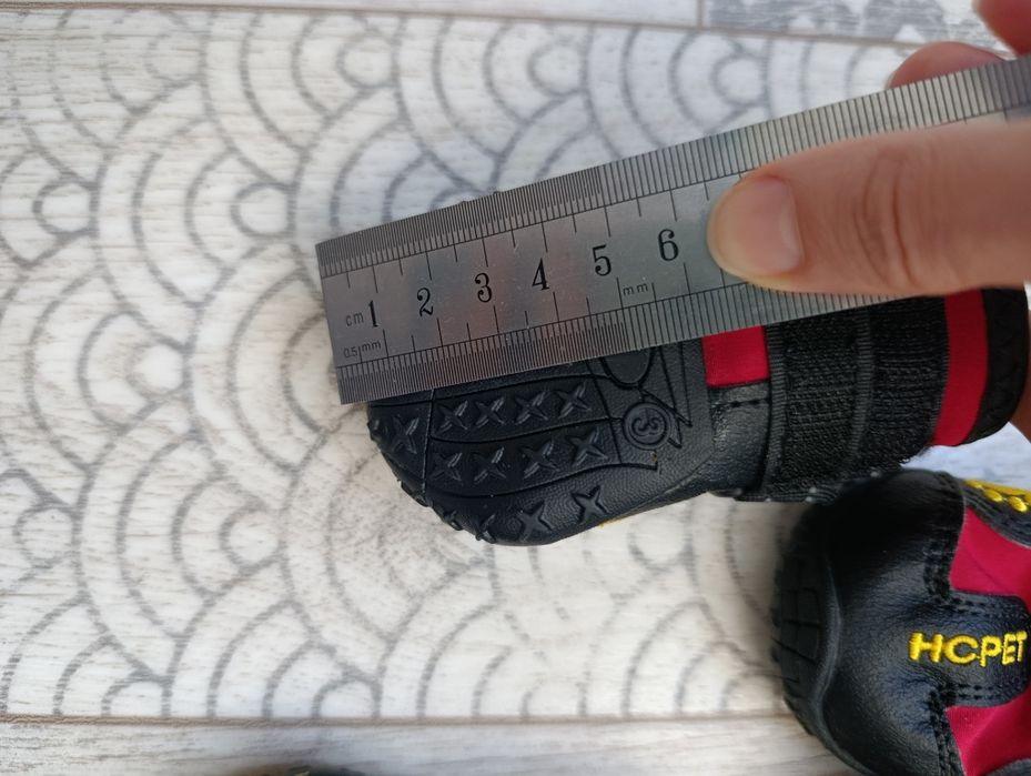 Взуття для собак