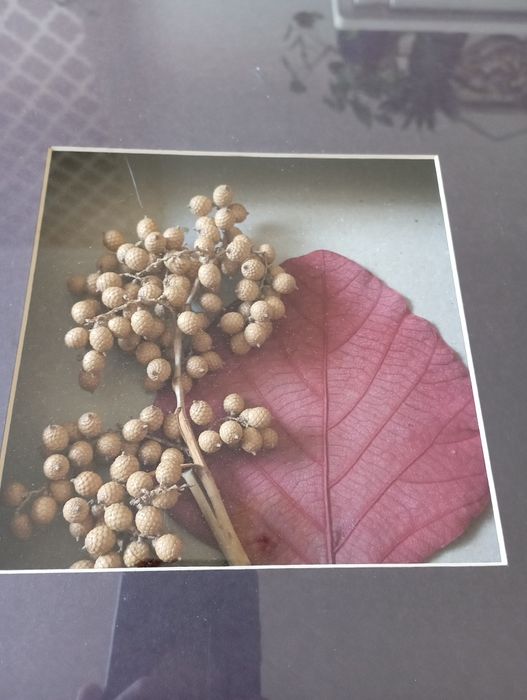 Wooden Frame64564207823747120