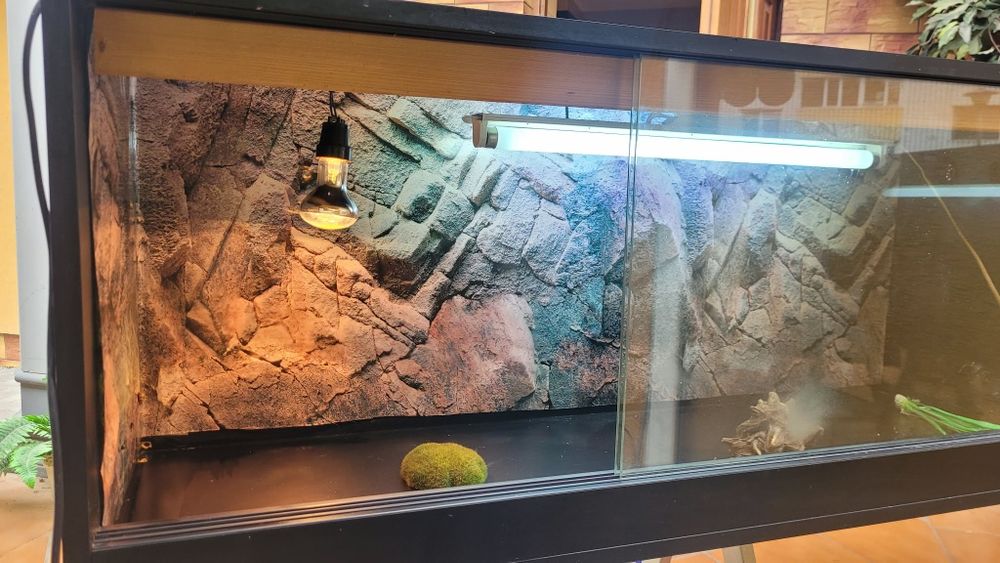 Terrarium 120x40