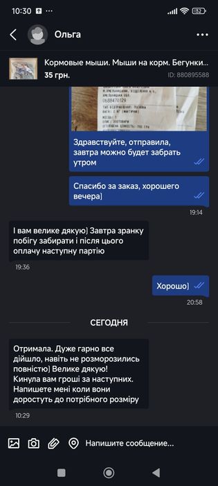 Кормовые мыши. Мыши на корм. Бегунки. Кормовые крысы. Заморозка