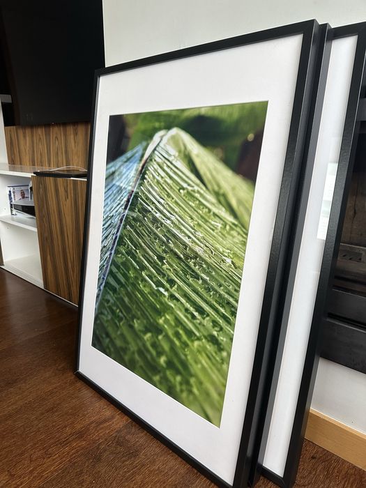 Quadro com Fotografia de Folha Tropical – Moldura Elegante