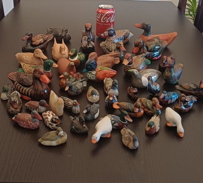 Patos Conjunto em excelente estado