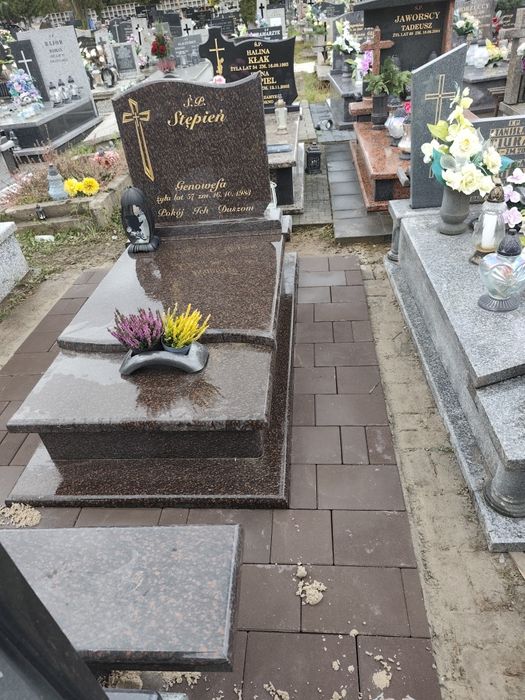 Kostka woków pomnika