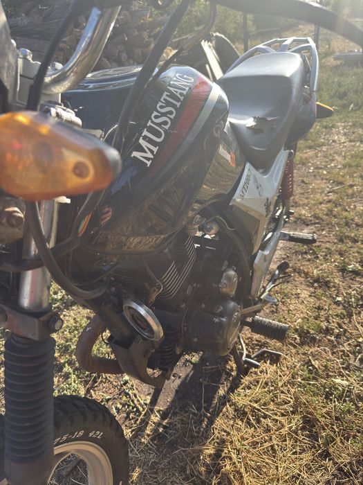 Продам Musstang mt200-7