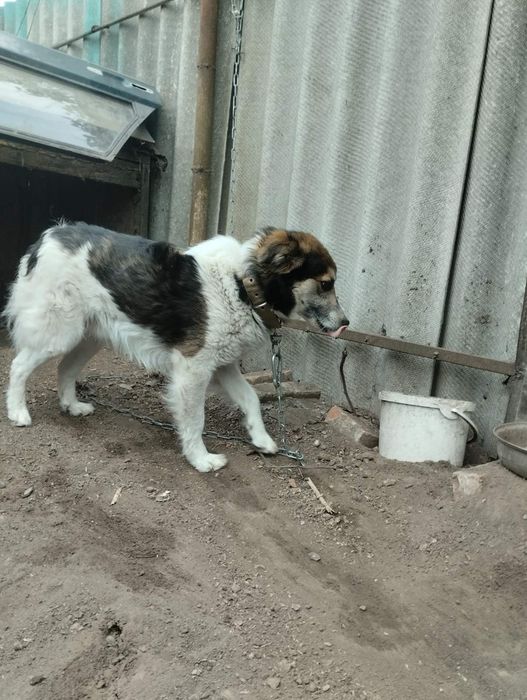 Хлопчик безкоштовно