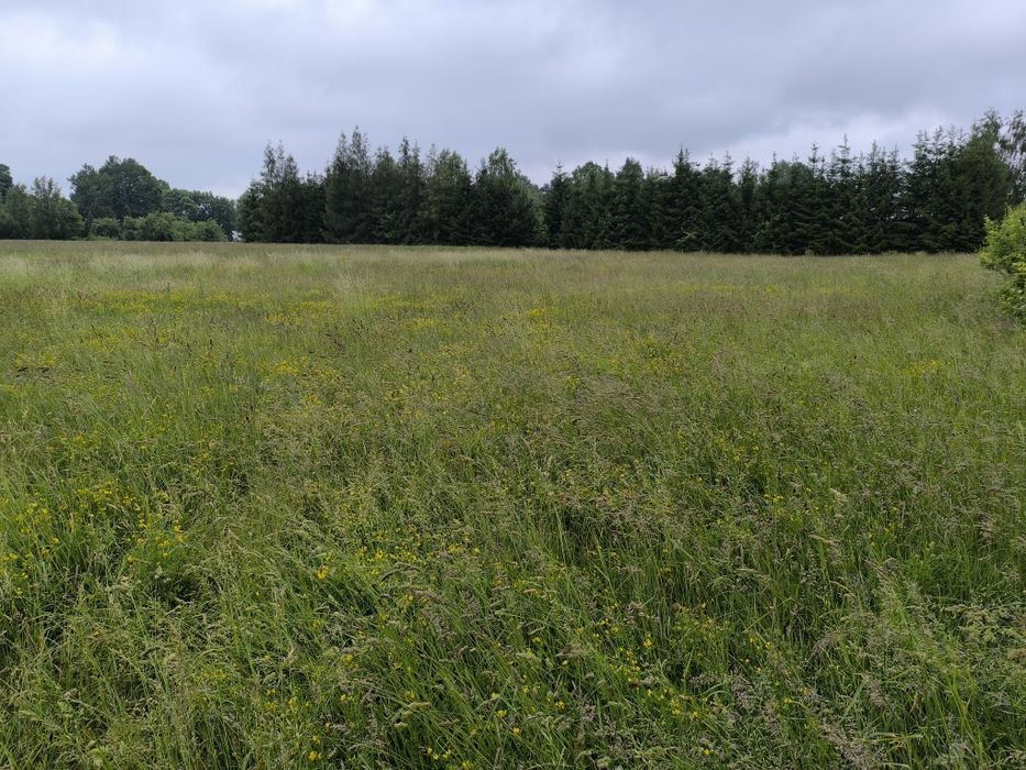 Działka 1192m2 z warunkami zabudowy.