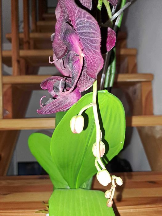 FEJKA Sztuczna roślina doniczkowa, Orchidea fioletowa storczyk 80 cm