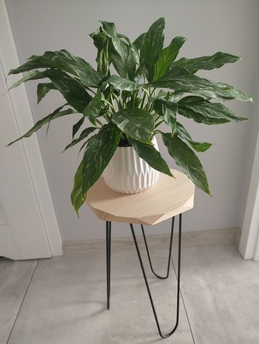 Stolik Nocny / Kwietnik LOFT – Surowe Drewno i Metal