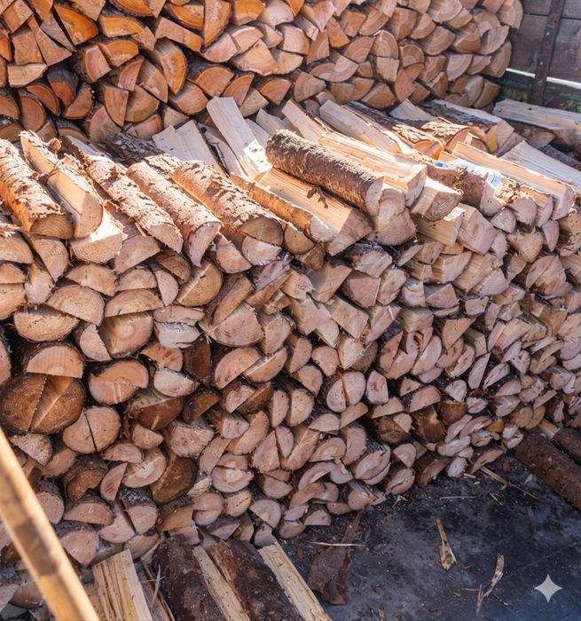 Дрова дубові, березові, вільхові. Тверді породи. Чесний об’єм, щільна укладка без пустот. Швидка доставка. Телефонуйте!