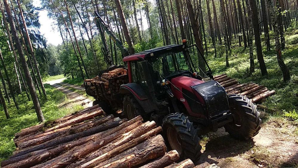 Porządkowanie, usuwanie samosiewów, wycinka drzew transport drewna