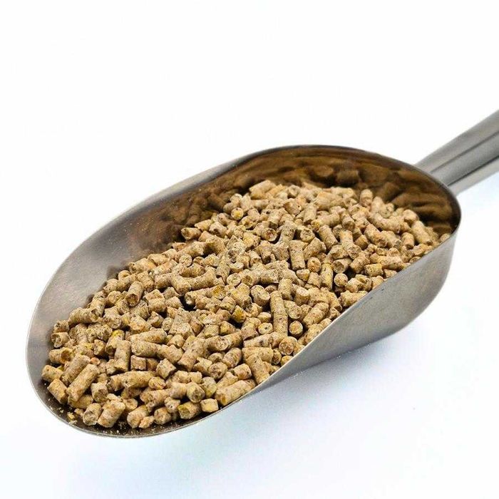 PASZA GRANULAT dla kur niosek DJ - 25 kg KOJPASZ