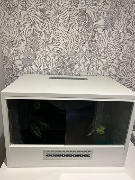 Terrarium dla gekona, z wyposażeniem