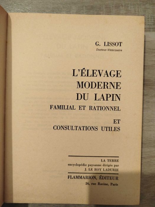 Criação Moderna de Coelhos