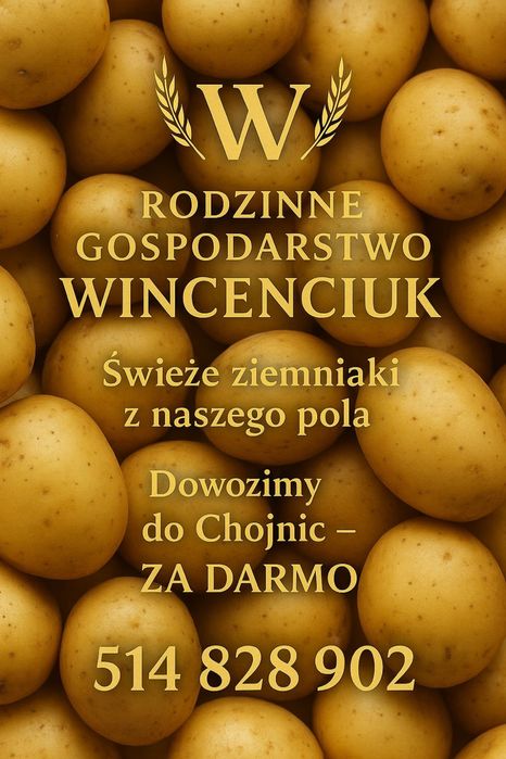 Sprzedam kapustę