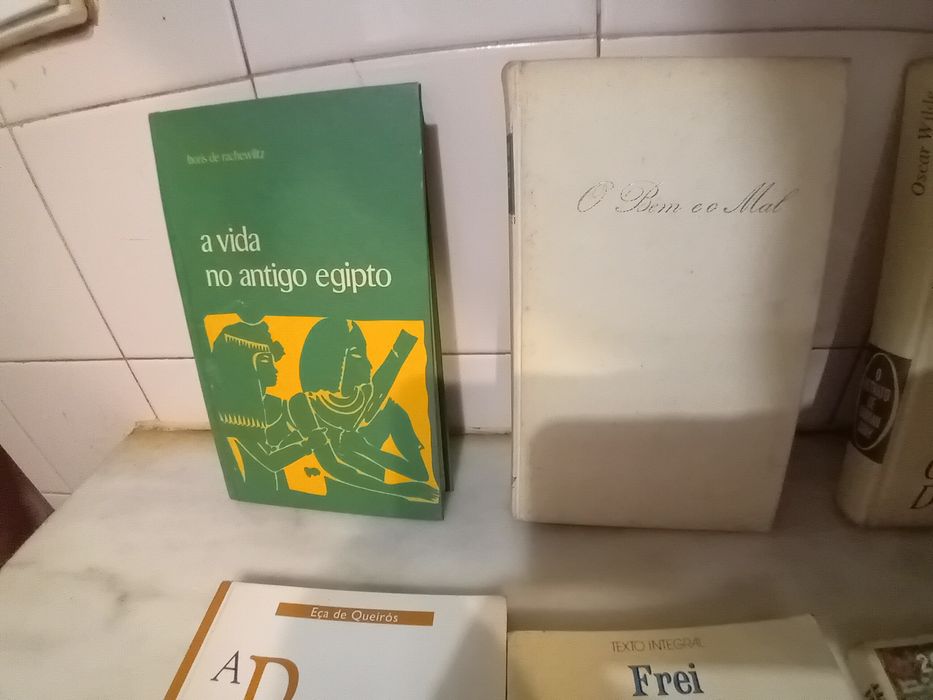 Conjunto de 12 Livros Diversos