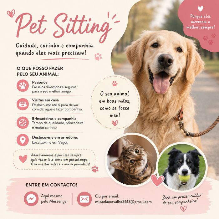 Pet sitting e passeio