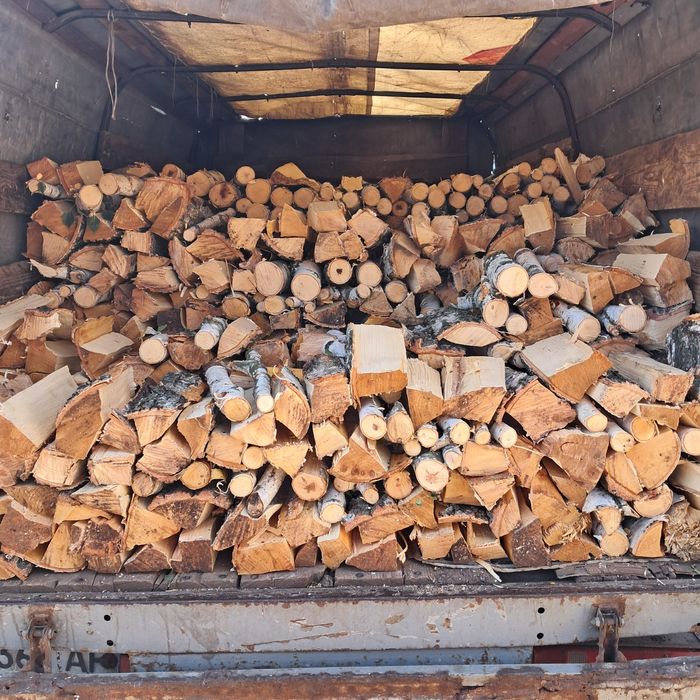 Дрова Берёза Колиті