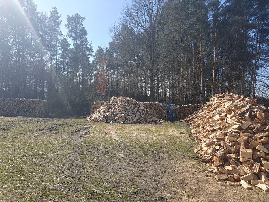 Drewno opałowe – dąb jesion brzoza sosna | suche | dowóz