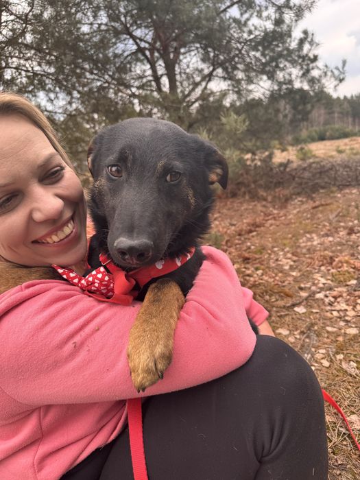 Mambuś prosi o domek. Uratuj adoptuj ze schroniska!