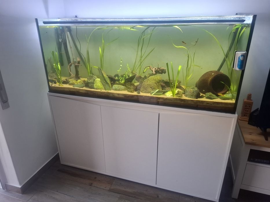 Aquário+móvel+peixe+acessórios