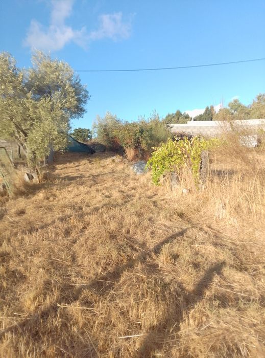 Terreno em Alcains venda urgente