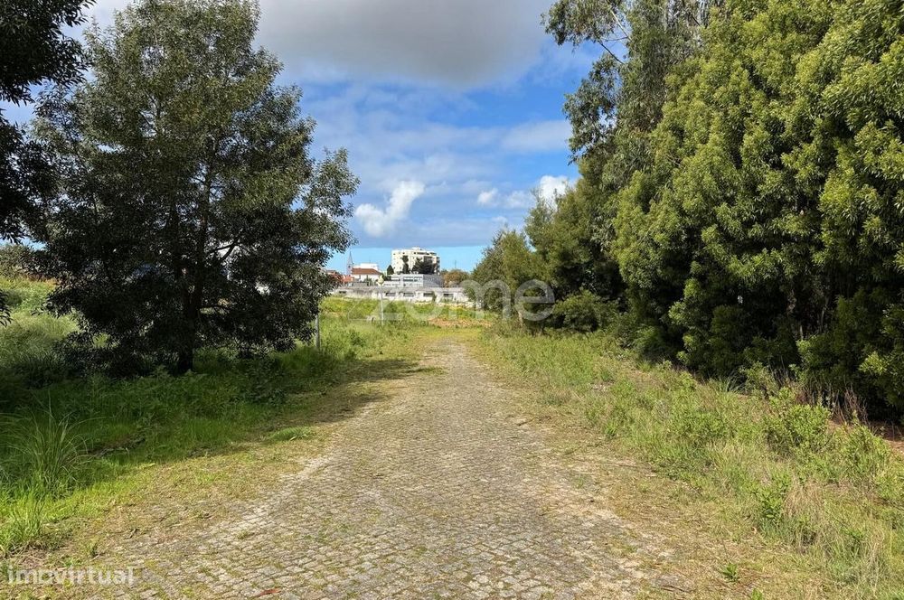 Lote de terreno, para construção de moradia, em Santa Maria de Lamas